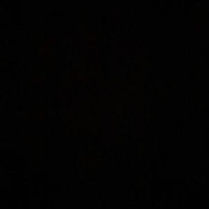 Meet your Posher, Callie